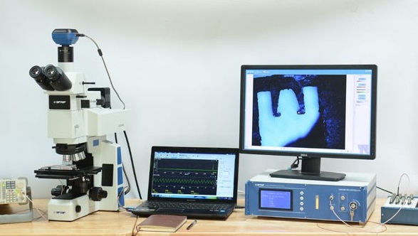 1713751647932523.jpg 1713751647932523.jpg